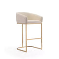Louvre Upholstered Stainless Steel Barstool - Manhattan Comfort